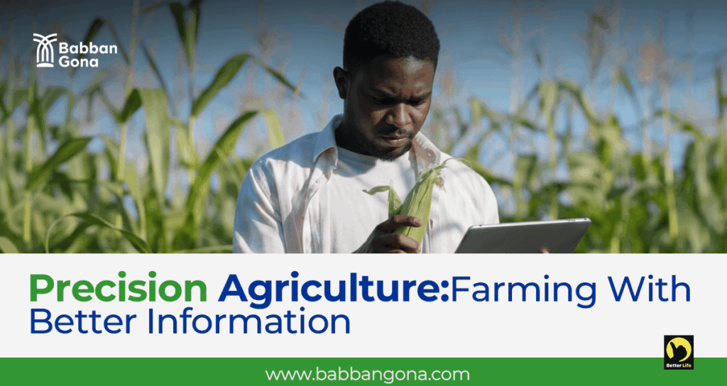 Precision Agriculture: Farming With Better Information