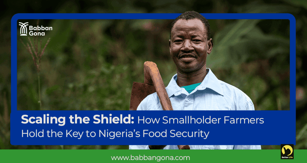 Scaling the Shield: How Smallholder Farmers Hold the Key to Nigeria’s Food Security