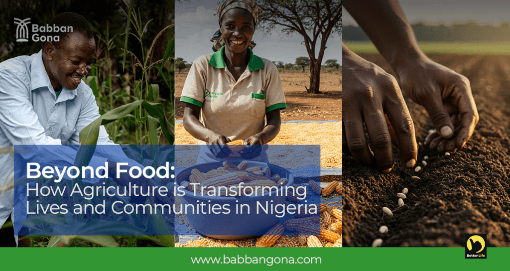 Beyond Food: How Agriculture is Transforming Lives and Communities in Nigeria