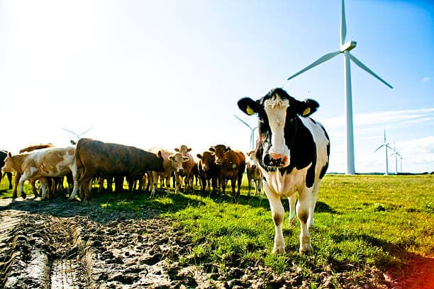 Agribusiness in Nigeria: Challenges, Opportunities, and Future Growth