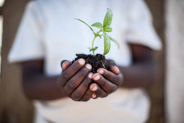 5 Powerful Roles of Agricultural Extension in Modern Farming Success