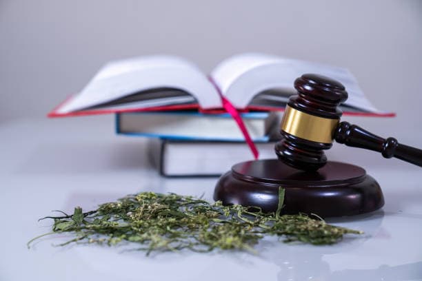Agricultural Laws and Policies in Nigeria: History, Challenges, and Impact
