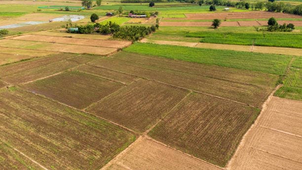 Land Evaluation for Agricultural Purposes: 7 Key Methods Farmers Must Know