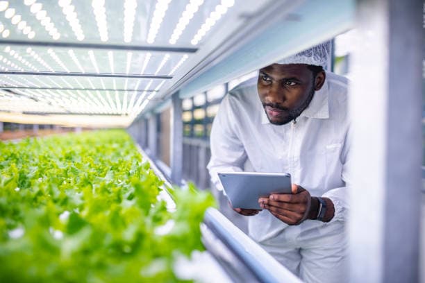 Climate-Smart Agriculture in Nigeria: Practical Farming Methods That Work