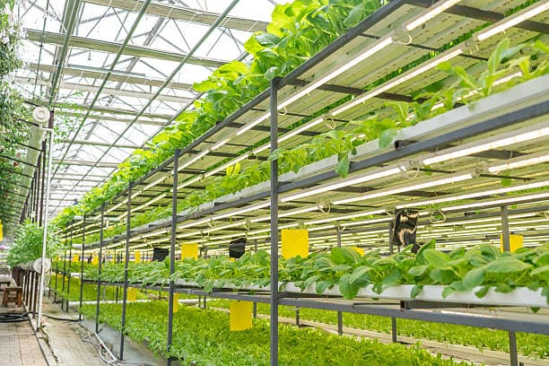 Digital Agriculture in Nigeria: 10 Technologies Transforming Modern Farming