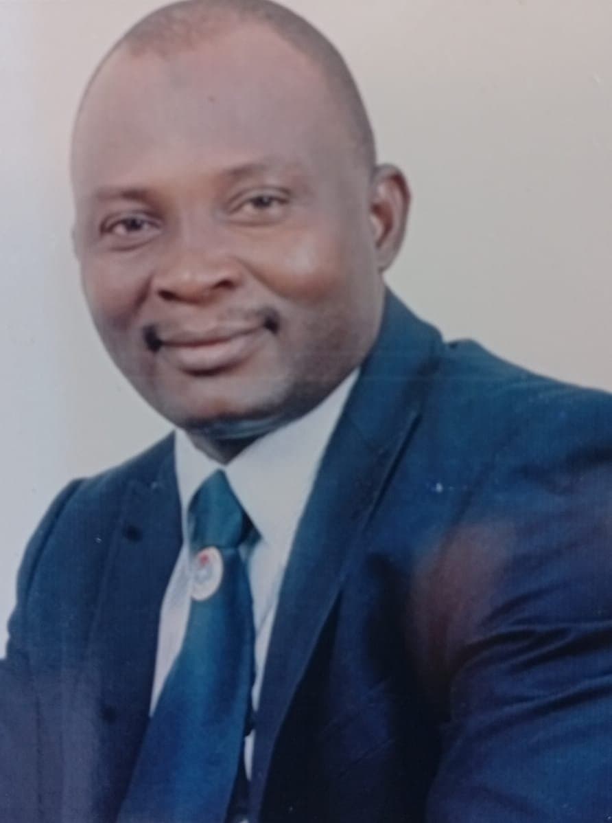 Nigeria produces 1m tons of mangoes annually, ranks 11th globally – NAMPPMAN