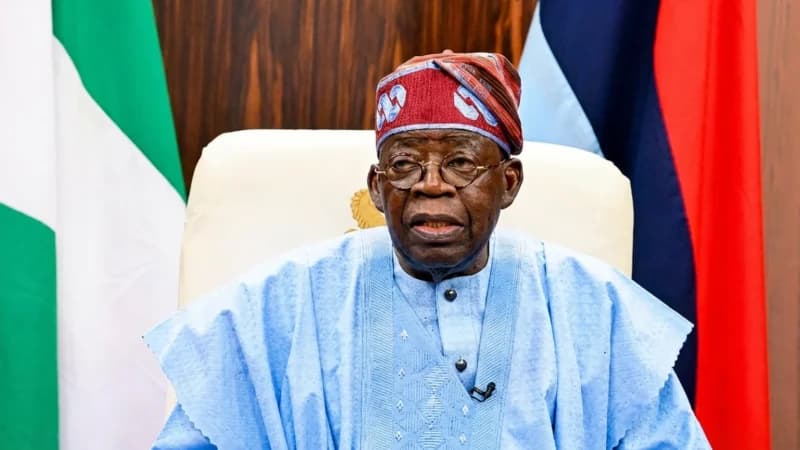 Livestock sector can drive Africa’s food security, economic growth – Tinubu