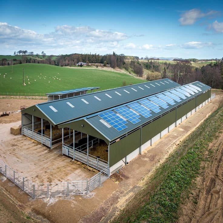 The Complete Guide to Constructing Your Poultry House: A Foundation for Success