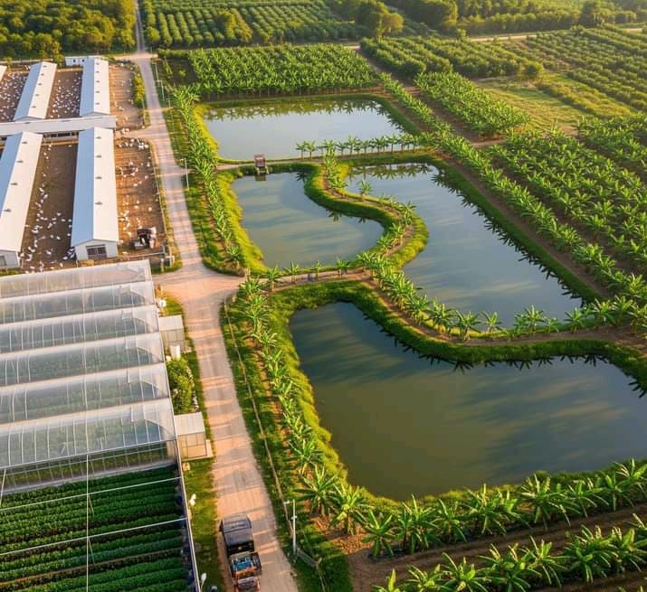 The Future is Integrated: How Smart Farms Are Building Wealth and Resilience in Nigeria